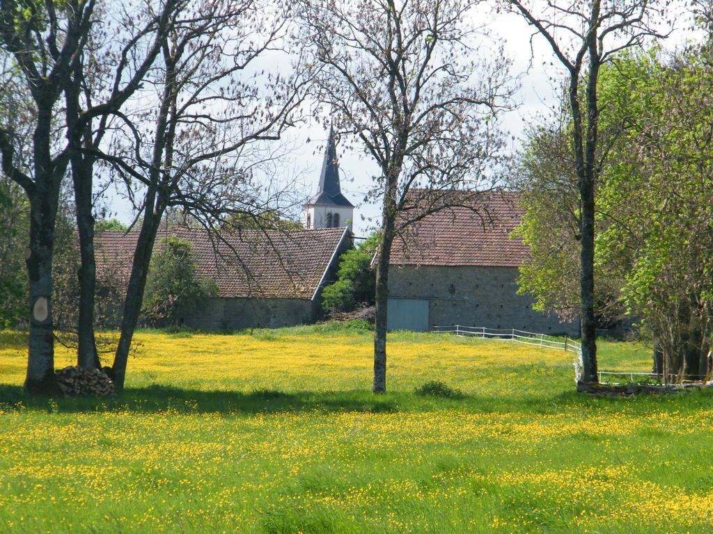 Datcha Bourguignonne, Chambres & Gite Maconge Экстерьер фото